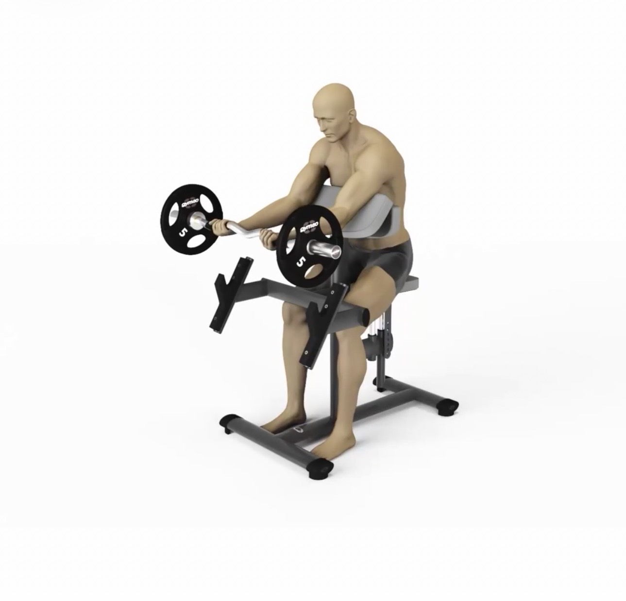 Preacher Curl / Bizepsmaschine