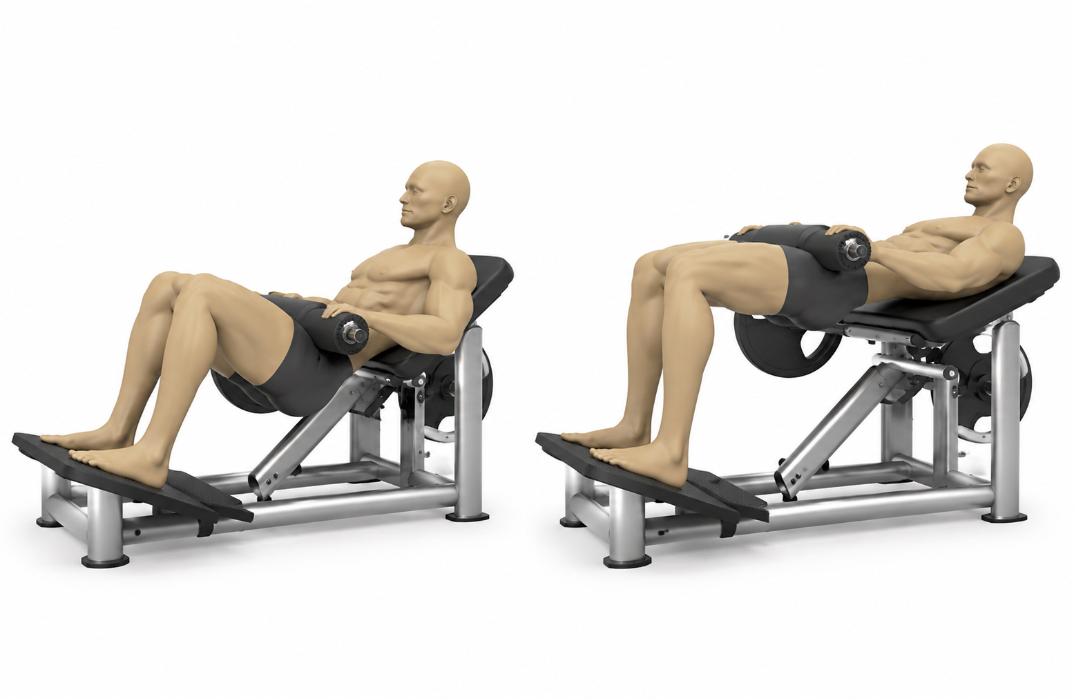Hip Thrust